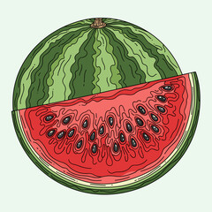 Fresh Watermelon with Slice Illustration. Vibrant Hand-Drawn Vector Art of Summer Fruit Showing Red Flesh and Black Seeds