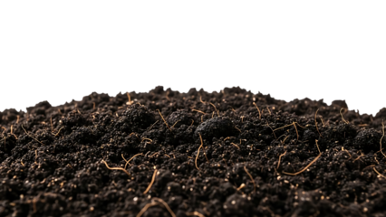 Dark brown soil with roots and dirt clumps isolated on a transparent background earth