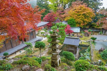 カラフルなモミジの紅葉に囲まれた古いお寺の境内の情景