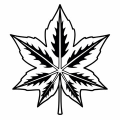 Obraz premium Black and white line of a maple leaf line maple leaf isolated transparent background