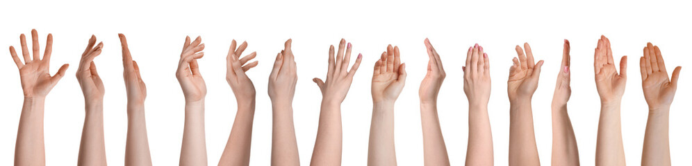 Female hands isolated on white, collection of photos