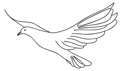 Obraz premium Simple dove bird icon with wings spread black and white line art
