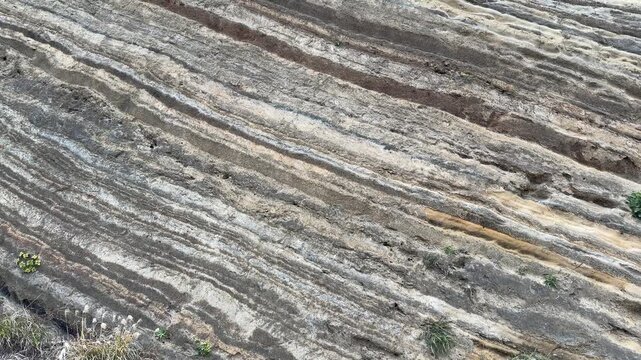Folded Strata Road Cut and Rock Outcrop on Izu Oshima Island, Japan
