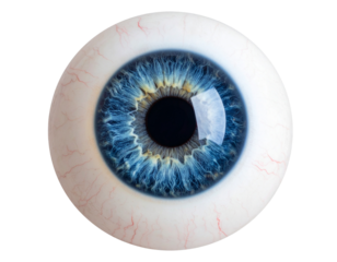 Firefly_Blue human eye ball isolated on transparent background - Firefly_Blue human eye ball isolated on transparent background