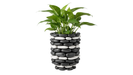 A plant with green leaves in a decorative stone pot, viewed from the side, in a minimalist environment.