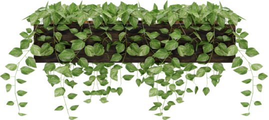 Decorative Wooden Wall Plants on transparent Background