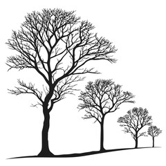 Obraz premium Silhouettes of bare trees