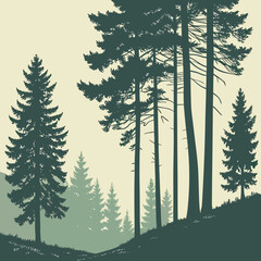 Silhouette of tall pine trees in forest © AX