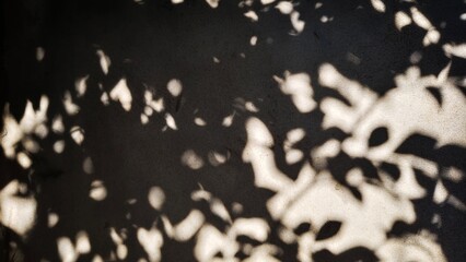 Light and shadow on the wall surface.