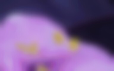 A dreamy, soft-focus abstract image featuring a blend of vibrant lavender and violet hues.