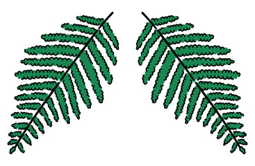 ウラジロ（シダ）の手描きイラスト（線あり）