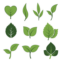 Collection of Green Leaf Illustrations for Nature and Ecology Concepts.