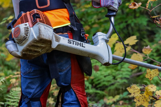Canada, Quebec, 26 September 2025 : Worker uses brushcutter wearing safety gear in dense autumn forest
