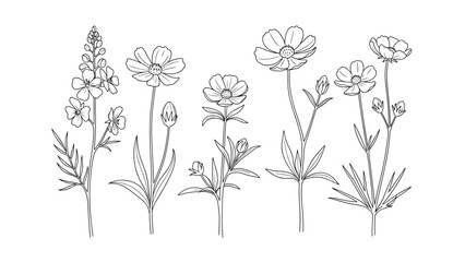 A charming set of five different wildflowers in a delicate black and white line art style, perfect for botanical illustrations.