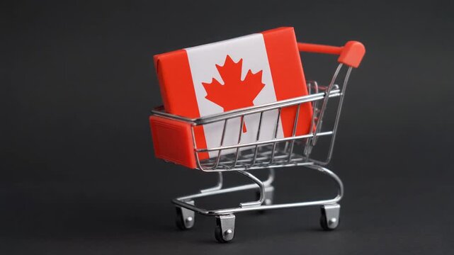 Miniature shopping cart holds red, white box with Canadian flag. Represents e-commerce, 