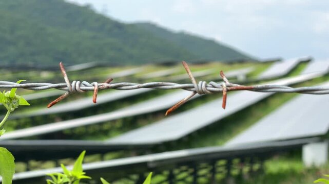 Barbed wire lined with scattered greenery stretches across the scene forming a tough protective barrier that reinforces separation and prevents unauthorized entry. Security boundary.