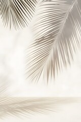 Obraz premium Palm leaf shadows cast on cream pastel floor and white wall