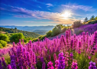 Obraz premium Vibrant purple flowers sway gently in a sunny Provenal landscape, captured in dreamy impressionist hues