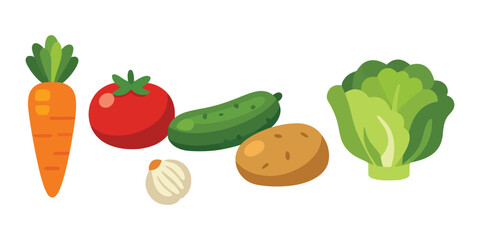 vector illustration of fresh vegetables, carrot, tomato, cucumber, potato, garlic, and lettuce. Perfect for healthy food, diet, vegan concepts.