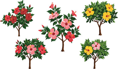 Beautiful hibiscus flower tree illustration with vibrant red, pink, and yellow blossoms, perfect for botanical, decorative, tropical, and garden designs. © shamima