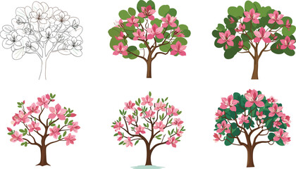 Beautiful pink magnolia blooming trees vector illustration set with floral spring design, decorative botanical artwork, and seasonal garden elements © shamima