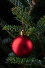 Christmas Tree. Red Christmas ornament hanging on evergreen tree branch. Christmas background. Festive holiday decoration with pine needles. Christmas, New Year celebration and seasonal decor concept