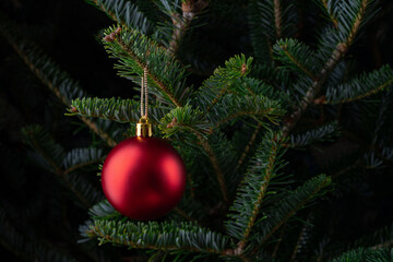 Christmas Tree. Red Christmas ornament hanging on evergreen tree branch. Christmas background. Festive holiday decoration with pine needles. Christmas, New Year celebration and seasonal decor concept