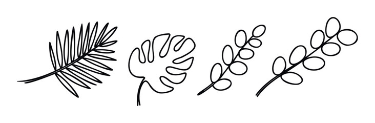 Hand drawn set of tropical leaves in a minimalist line art style, featuring monstera and palm fronds for botanical decoration, logos, and eco friendly branding projects.