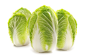 日本の冬野菜の白菜