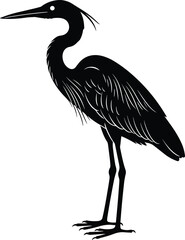 Black silhouette vector illustration of a graceful heron bird standing, representing wetland wildlife, nature, tranquility, wading birds, and aquatic animal fauna on white.