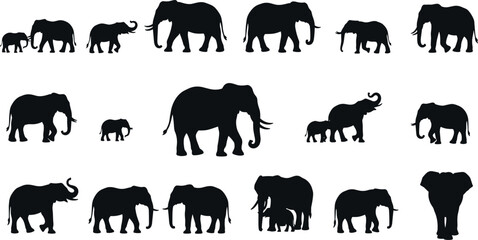 Silhouettes of elephants in varied poses and family groupings showcasing social behavior – flavector