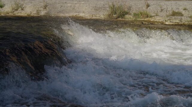 Salmon struggle upstream in slow motion during Ontario's salmon run