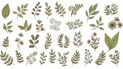 Collection of Hand-Drawn Botanical Elements and Leaves.