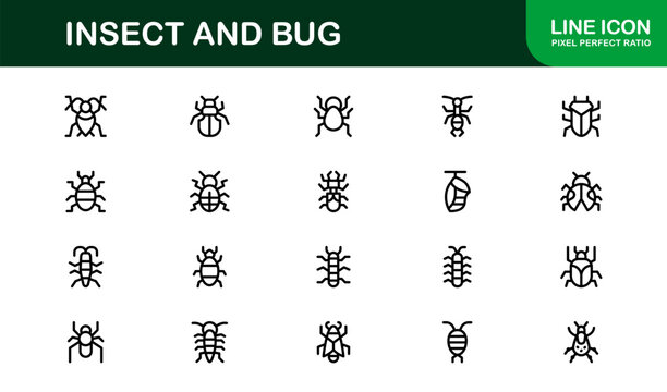 Professional Insect Line Icon Set &ndash; Modern minimal bug vector collection with creative outline illustrations for nature-themed projects.