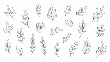 Collection of Delicate Hand-Drawn Botanical Elements and Leaves. © Gogoo
