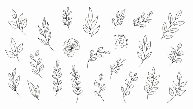 Collection of Delicate Hand-Drawn Botanical Elements and Leaves.