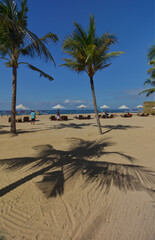 Sunbeds and trees on Sanur Beach, Bali, Indonesia