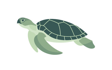 Green sea turtle swimming isolated on white background flat vector illustration design.