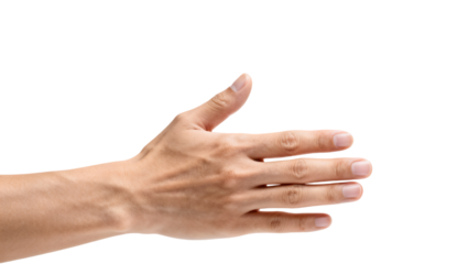 Open palm human hand isolated, neutral hand gesture cutout for communication and graphic design