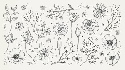 Collection of Hand Drawn Botanical Illustrations Featuring Various Flowers and Branches.