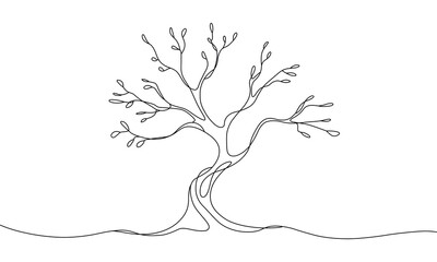Minimalist Line Drawing of a Growing Tree on Transparent Background
