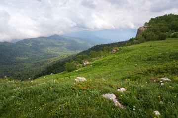 View from the Lago-Naki plateau in the mountains of the Western Caucasus on a sunny summer day, Caucasian Reserve, Republic of Adygea, Russia