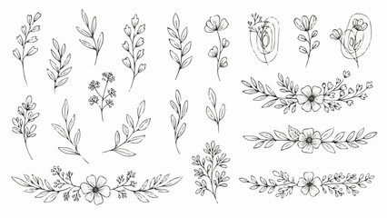 Elegant Hand Drawn Botanical Elements and Floral Wreaths.