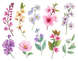 Naklejka premium Watercolor collection of various blooming flowers and branches. transparent background png