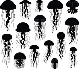 Collection of black silhouette jellyfish with tentacles on white background marine ocean © MDBENJIR