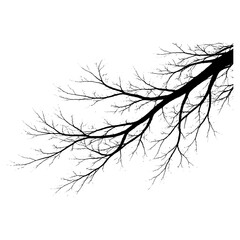 Bare tree branches silhouette corners for border design, Transparent Background