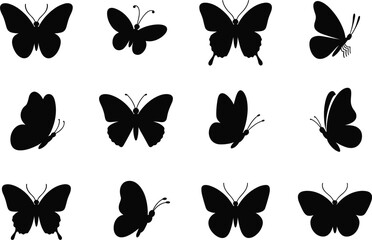 Collection of twelve black silhouette butterfly icons in various poses and wing positions insect flying © MDBENJIR