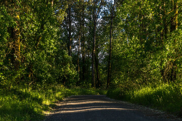 Oak Island Wildlife Refuge, Sauvie Island, Oregon	