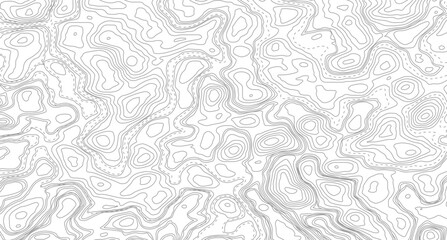 Topography background. Vector banner. Topography map background. Abstract modern white and black topographic contour map wavy line. © Mst