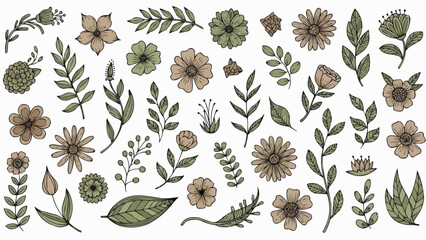 Botanical Illustration Collection of Hand-Drawn Flowers and Leaves.